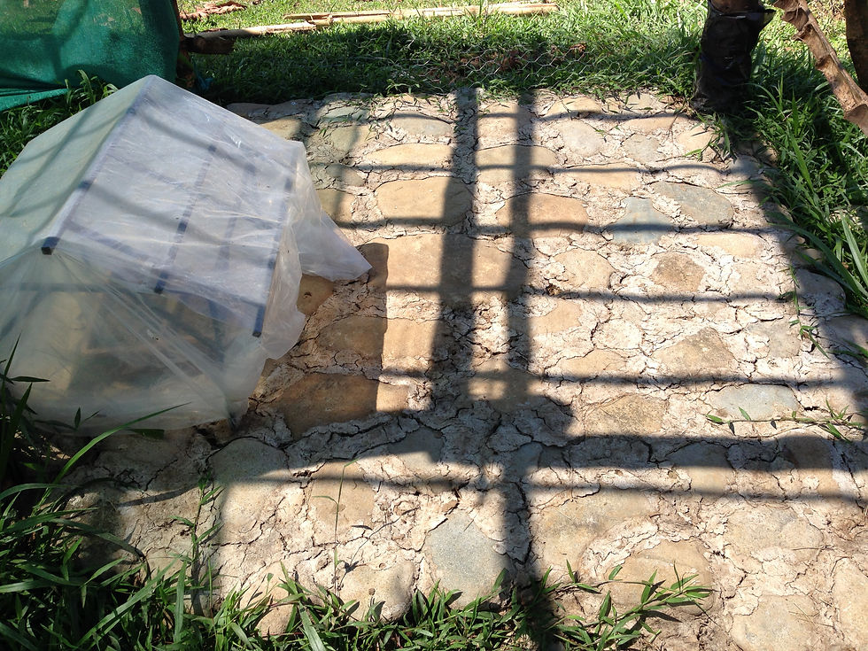 Piso de piedras y boñiga