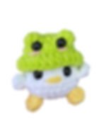 Thumbnail: Duck with Frog Hat