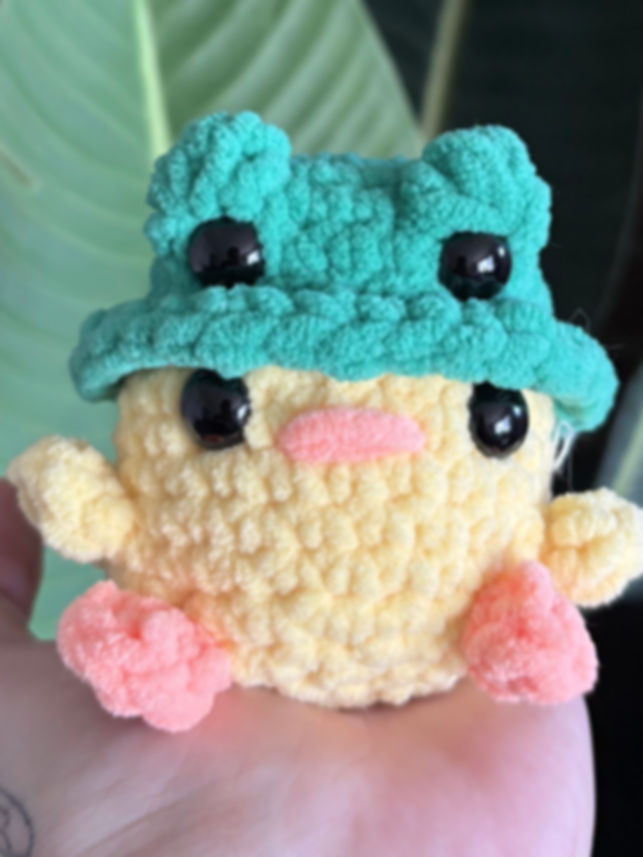 Duck with Frog Hat