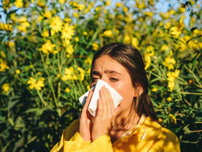 Four Culprits That Can Trigger Your Allergies