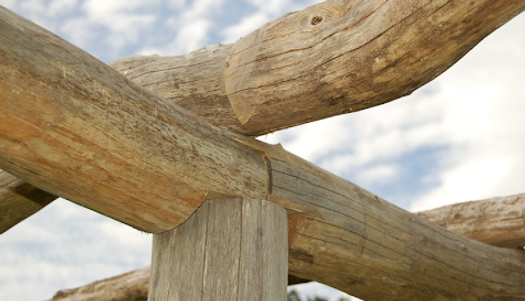 arbor detail.png