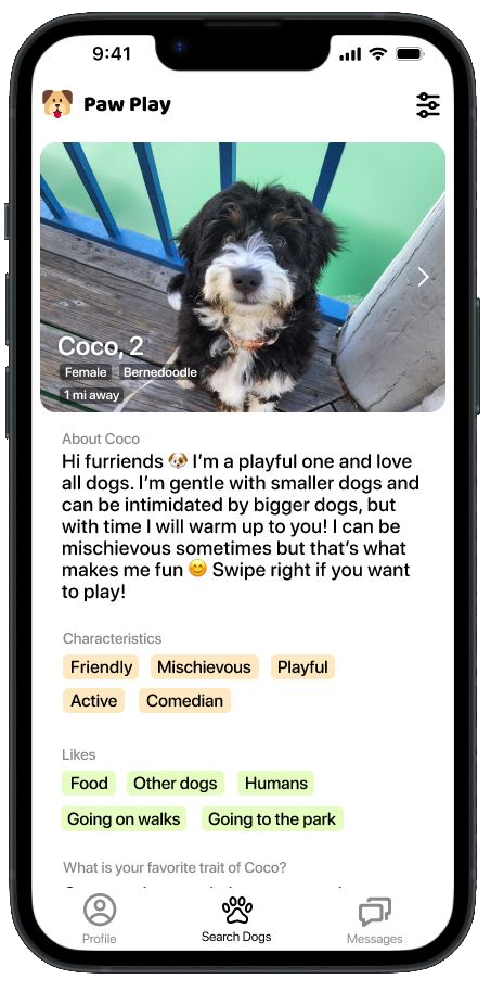 Paw Play Coco Card.png