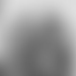 Les citations militaires de René