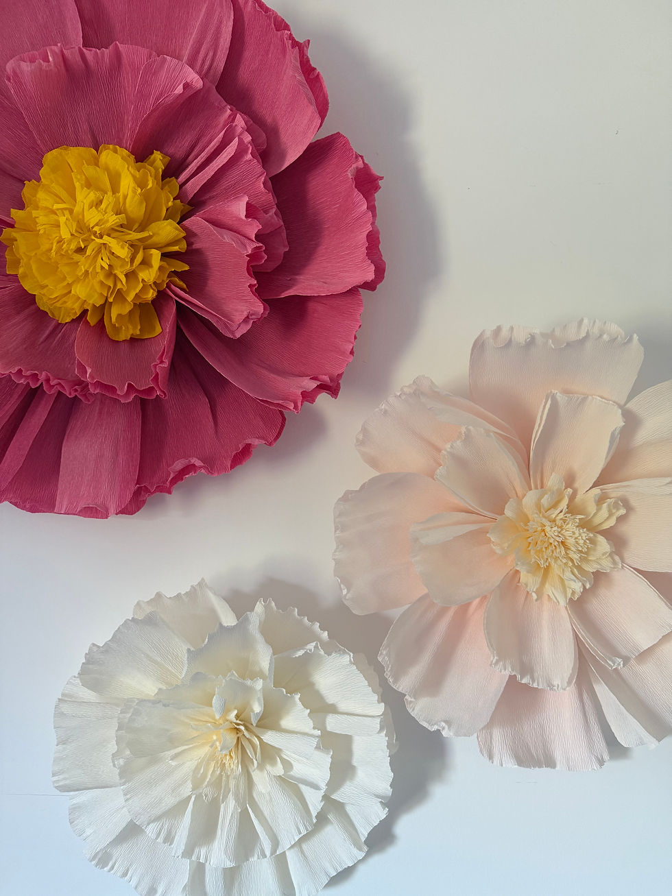 Thumbnail: Giant Paper Flower - DIY Kit