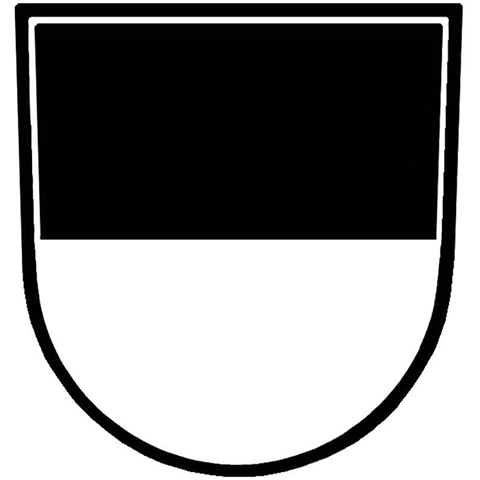 Stadtwappen von Ulm mit schwarzem Adler auf silbernem Grund – steht für die apoFinanz-Begleitung im Bereich Donau-Iller und die zielgerichtete Beratung von Heilberufen zwischen Tradition und Moderne.