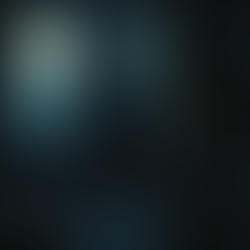 The Whispers in the Dark