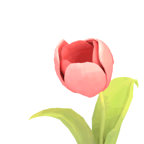 flower-gif-png-5.gif