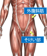 股関節痛