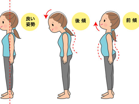 「姿勢がいいね」って、言われますか?