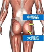 股関節痛