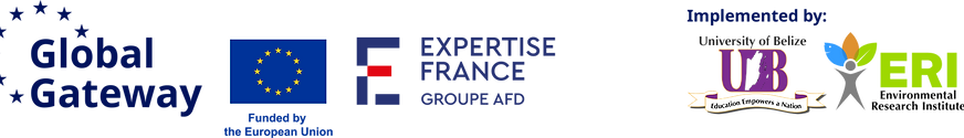 GG-EU-EF-UB LogoBand_colour (alternative)_6x.png