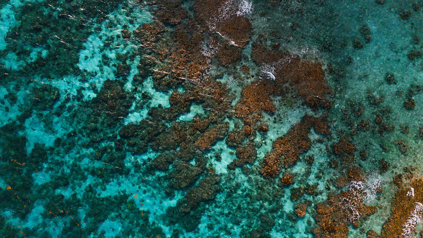 Edges of Earth_Marla Tomorug_Belize_Turneffe Atoll Drone-_20231218051448_0033_D_edited.jpg