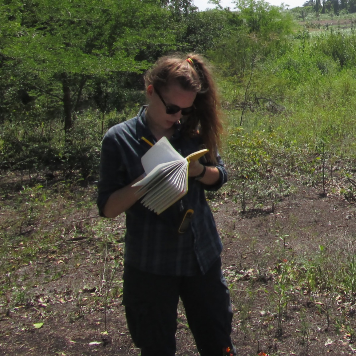 Writer: Jessica C. Boles