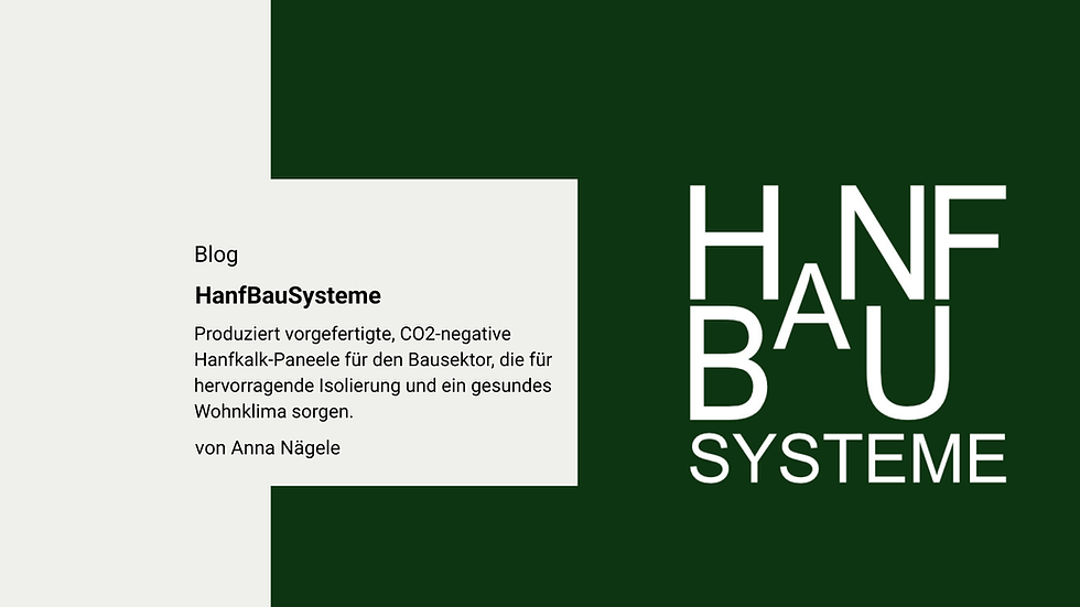 Banner Blog HanfBauSysteme