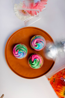 Brio Photography,
Disco ball, picnic wedding, 70's style, vintage wedding, wedding cupcakes