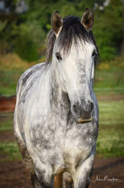 19-4-18 Kristin & Pedro 3 LR WEB 008-2.jpg