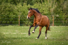 19-4-16 Kristin & Pedro 1 LR WEB 016.jpg