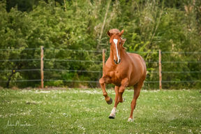 19-4-16 Kristin & Pedro 1 LR WEB 015.jpg