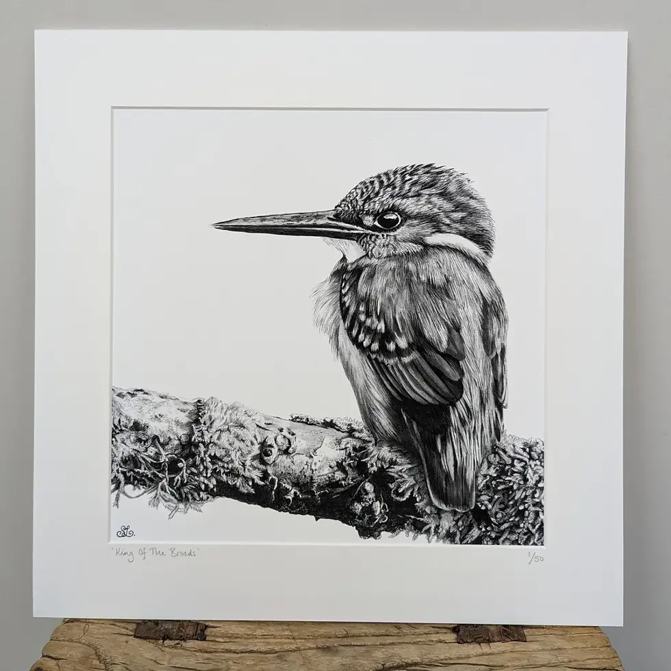 Thumbnail: King Of The Broads