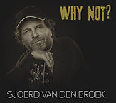Sjoerd, Why Not 4.jpg