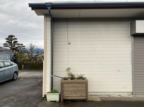 雨庭プランターの植え替え