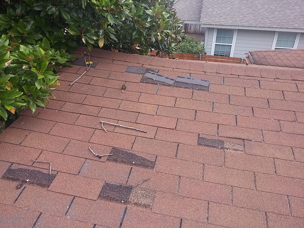 Roof Replacement