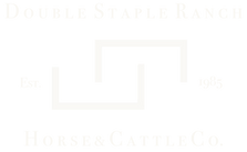 DSRLogoWHCS1985.png