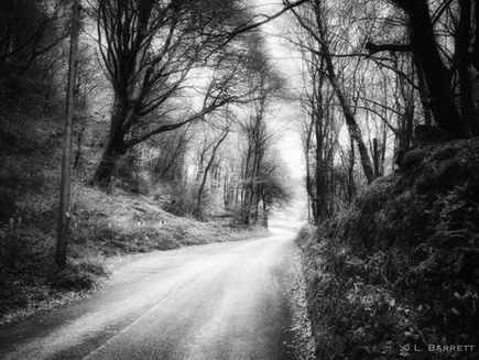 Social anxiety isn’t a choice…