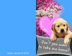 Exercise 1 – Let’s get a puppy