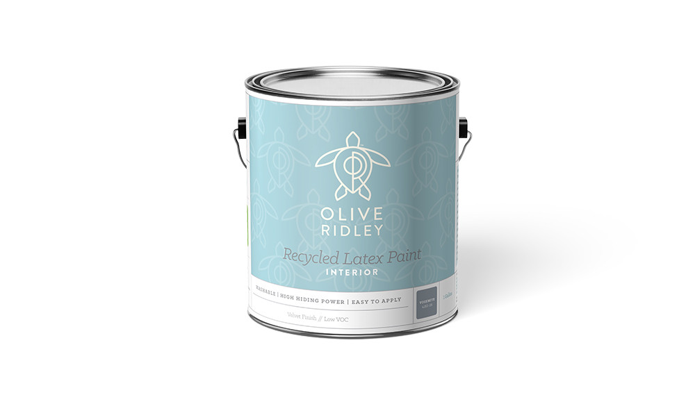 Olive Ridley Paints