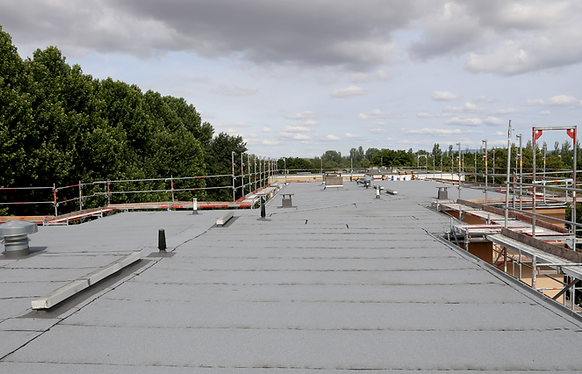 Add a heading (6).png