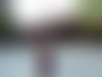 歡迎研究助理王素雯加入本實驗室