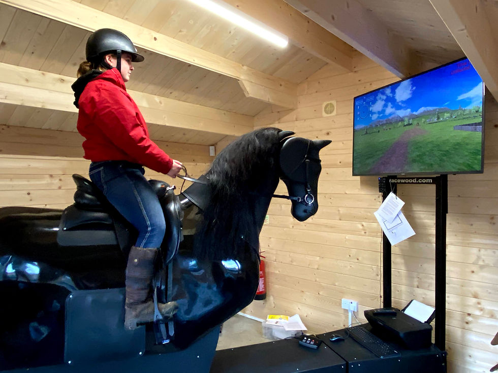 Horse Riding Dressage Simulator.jpeg