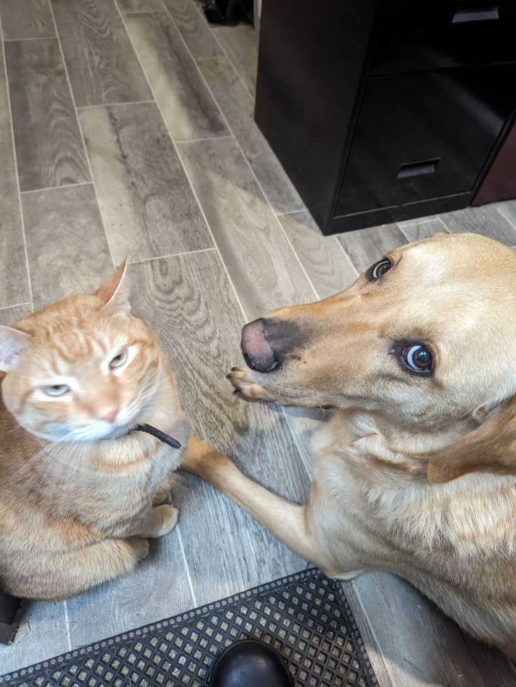 Hassle-free stay with friendly neighbors