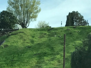 Weather or not: Whether or not