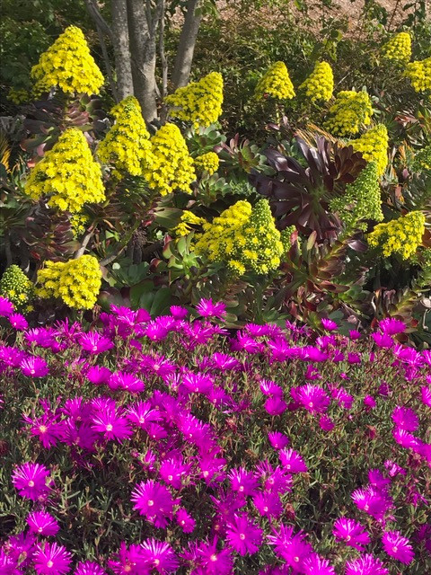 Gifts from the Garden….YOUR HUMAN Garden