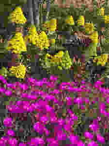 Gifts from the Garden….YOUR HUMAN Garden