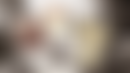 Laurier Palace épisode 2 - Voyage dans les années 1920