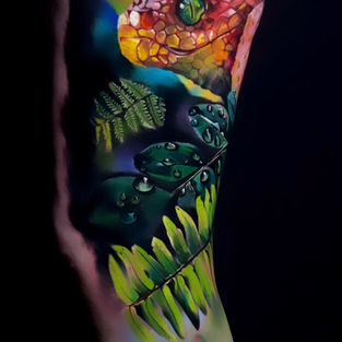 Hyper realistic Color Tattoos