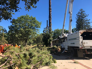 bucket truck