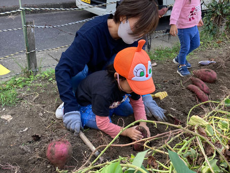 いもほりをしました🍠