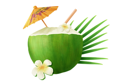 DEEKSHITA COCONUT