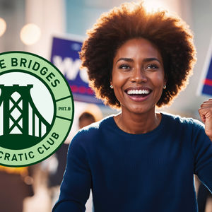Three  Bridges Democratic Club