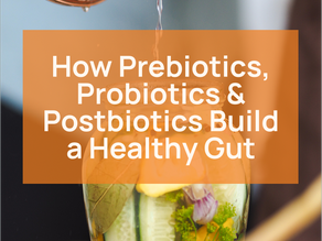 A copper pot pouring liquid into a glass jar filled with cucumbers, lemons, and herbs. A text overlay reads, "How Prebiotics, Probiotics & Postbiotics Build a Healthy Gut," which is the title of the accompanying blog post.