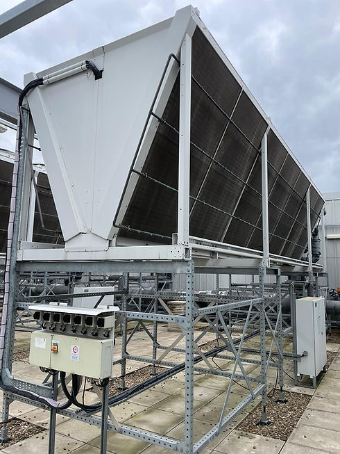 2023-08-01 13.40.16-1.jpg