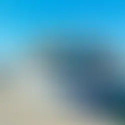 Rhine River Diaries: 7 Days on the Avalon Envision