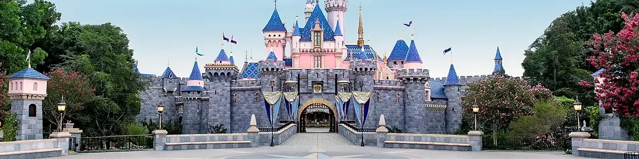 Disneyland Castle