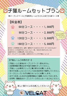 第2回子猫ルーム料金表&注意事項.jpg