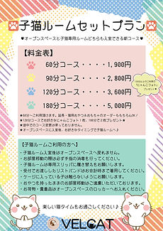 第2回子猫ルーム料金表&注意事項.jpg