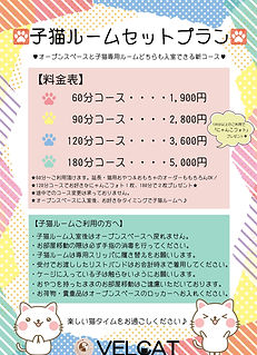 第2回子猫ルーム料金表&注意事項.jpg